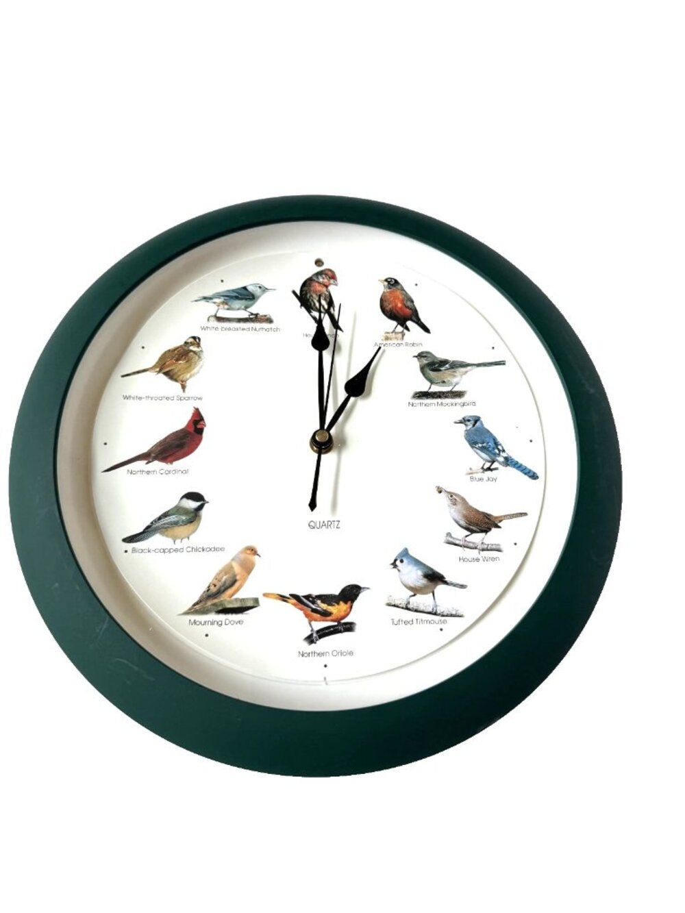 Singing Bird Clock 13" Green Quartz Hourly Whistle Chirp Wall Hanging Indoor